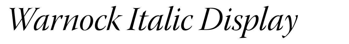 Warnock Italic Display